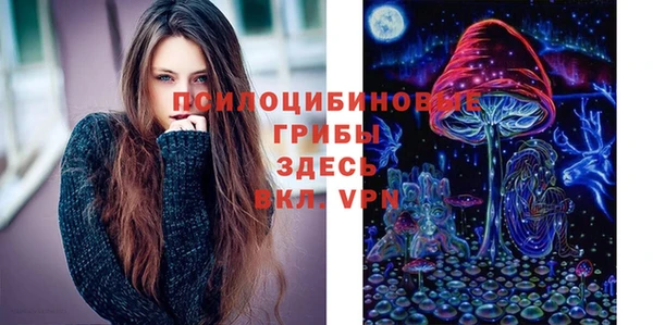 тгк Беломорск