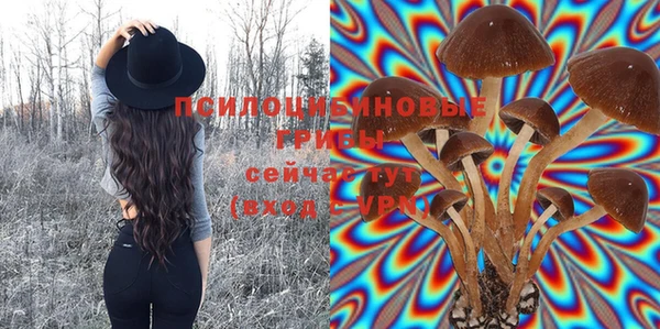 мяу мяу мука Белокуриха