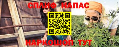 СК Балашиха