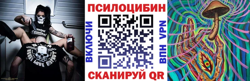 где купить наркоту Видное MEGA зеркало Галлюциногенные грибы Psilocybe
