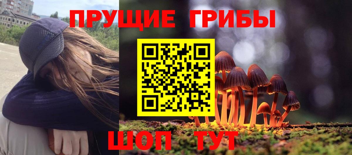 Псилоцибиновые грибы GOLDEN TEACHER  Галлюциногенные грибы ЛСД  Видное  Вход с VPN 