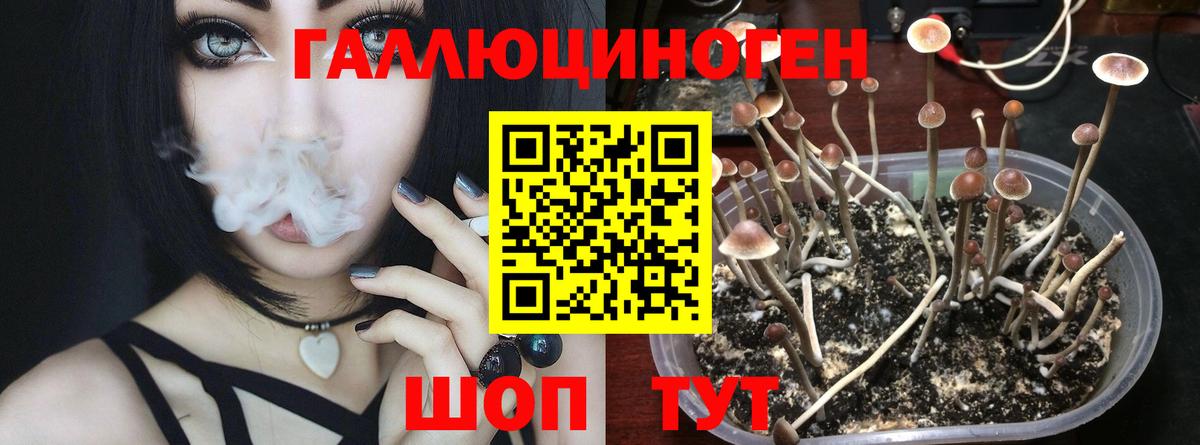 Псилоцибиновые грибы прущие грибы Видное